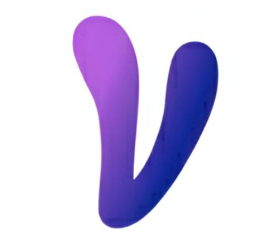 Voiza logo
